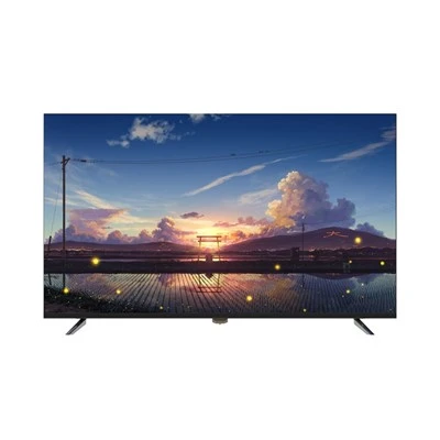 55-tolline SKD Smart 4K Netflixi teler